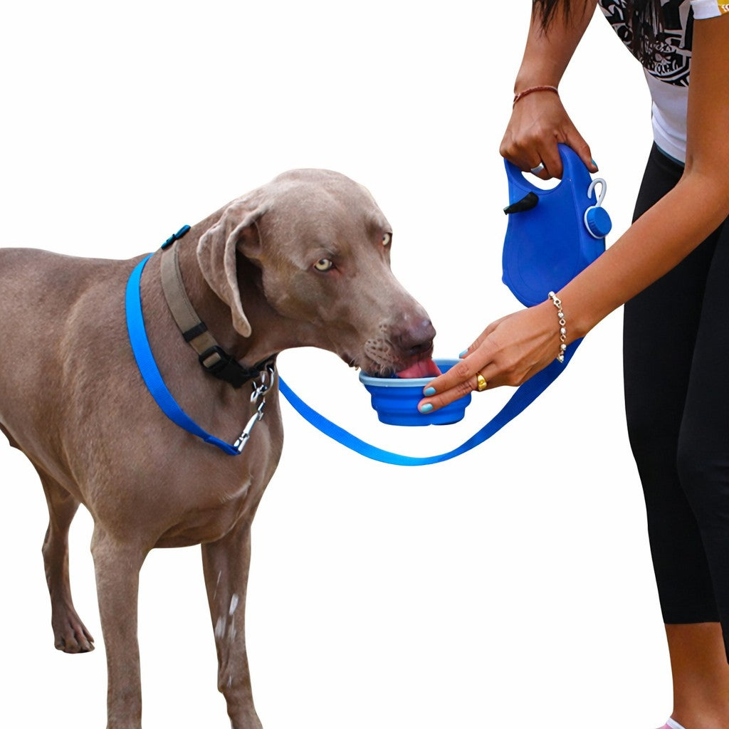 Correa retráctil para perros con cuenco plegable